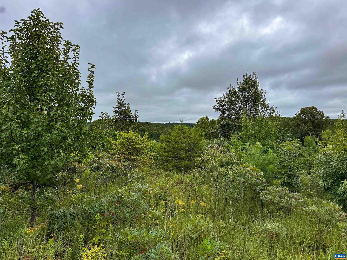 TBA OLD GREEN MOUNTAIN RD #00500, ESMONT, Virginia 22937, ,Farm,For sale,TBA OLD GREEN MOUNTAIN RD #00500,668925 MLS # 668925