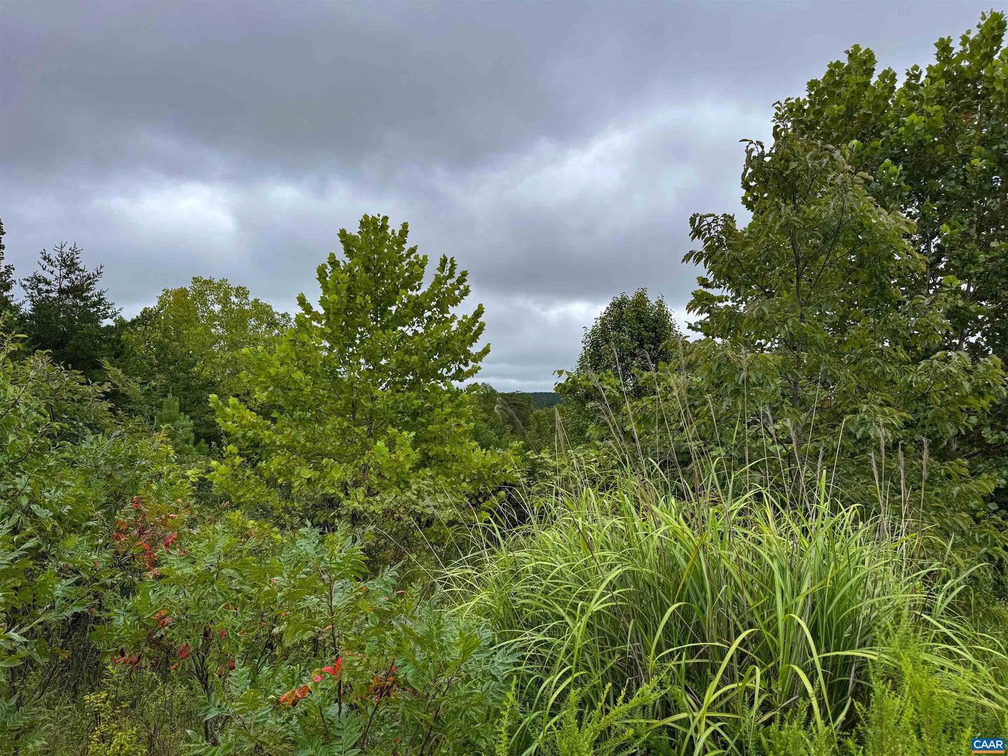TBA OLD GREEN MOUNTAIN RD #00500, ESMONT, Virginia 22937, ,Farm,For sale,TBA OLD GREEN MOUNTAIN RD #00500,668925 MLS # 668925