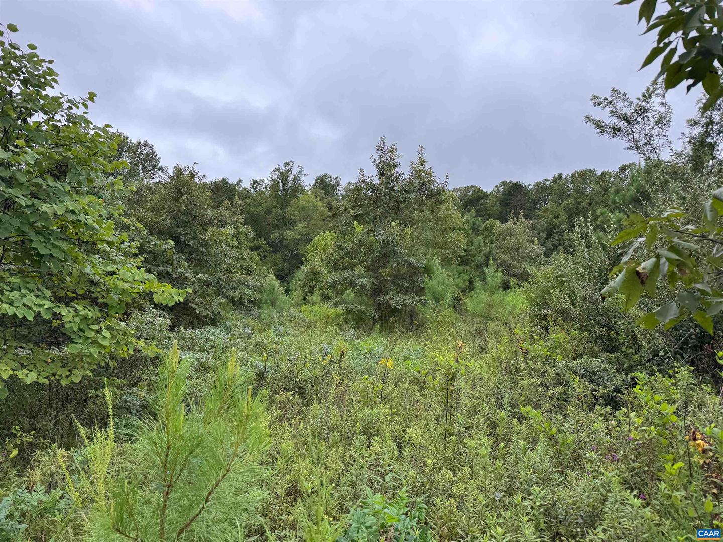 TBA OLD GREEN MOUNTAIN RD #00500, ESMONT, Virginia 22937, ,Farm,For sale,TBA OLD GREEN MOUNTAIN RD #00500,668925 MLS # 668925