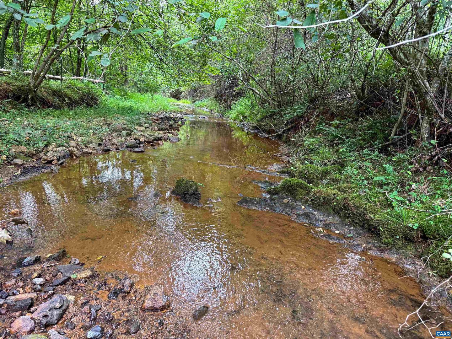 TBA OLD GREEN MOUNTAIN RD #00500, ESMONT, Virginia 22937, ,Farm,For sale,TBA OLD GREEN MOUNTAIN RD #00500,668925 MLS # 668925