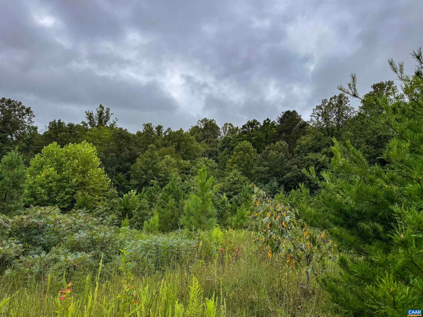 TBA OLD GREEN MOUNTAIN RD #00500, ESMONT, Virginia 22937, ,Farm,For sale,TBA OLD GREEN MOUNTAIN RD #00500,668925 MLS # 668925
