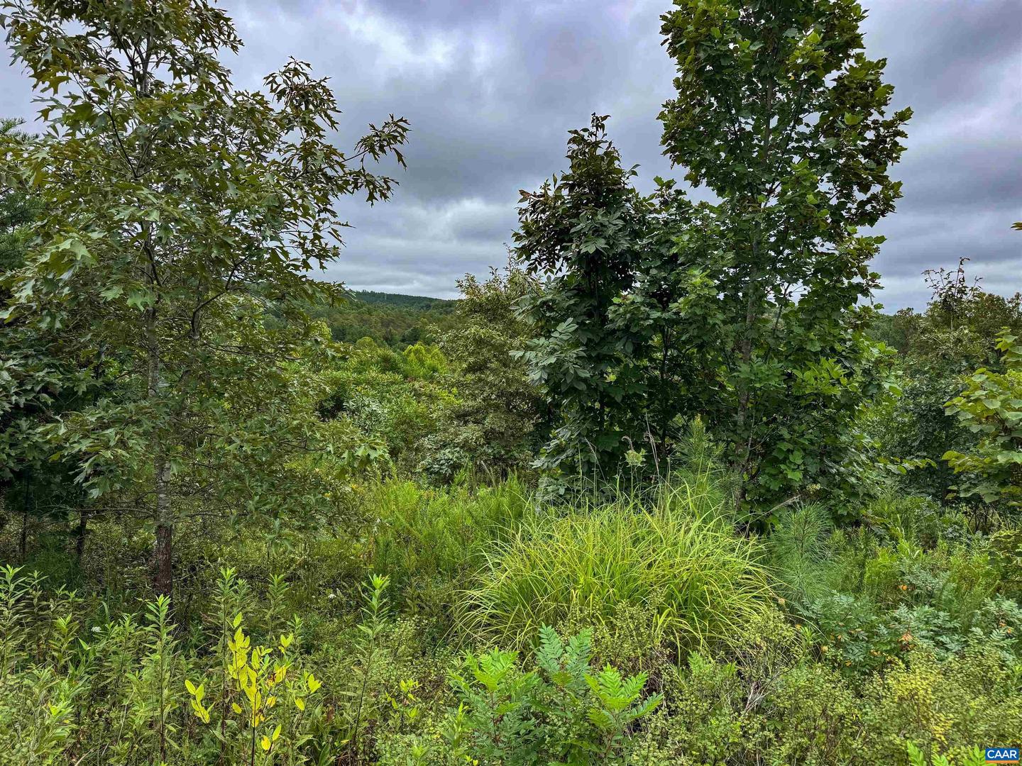 TBA OLD GREEN MOUNTAIN RD #00500, ESMONT, Virginia 22937, ,Farm,For sale,TBA OLD GREEN MOUNTAIN RD #00500,668925 MLS # 668925
