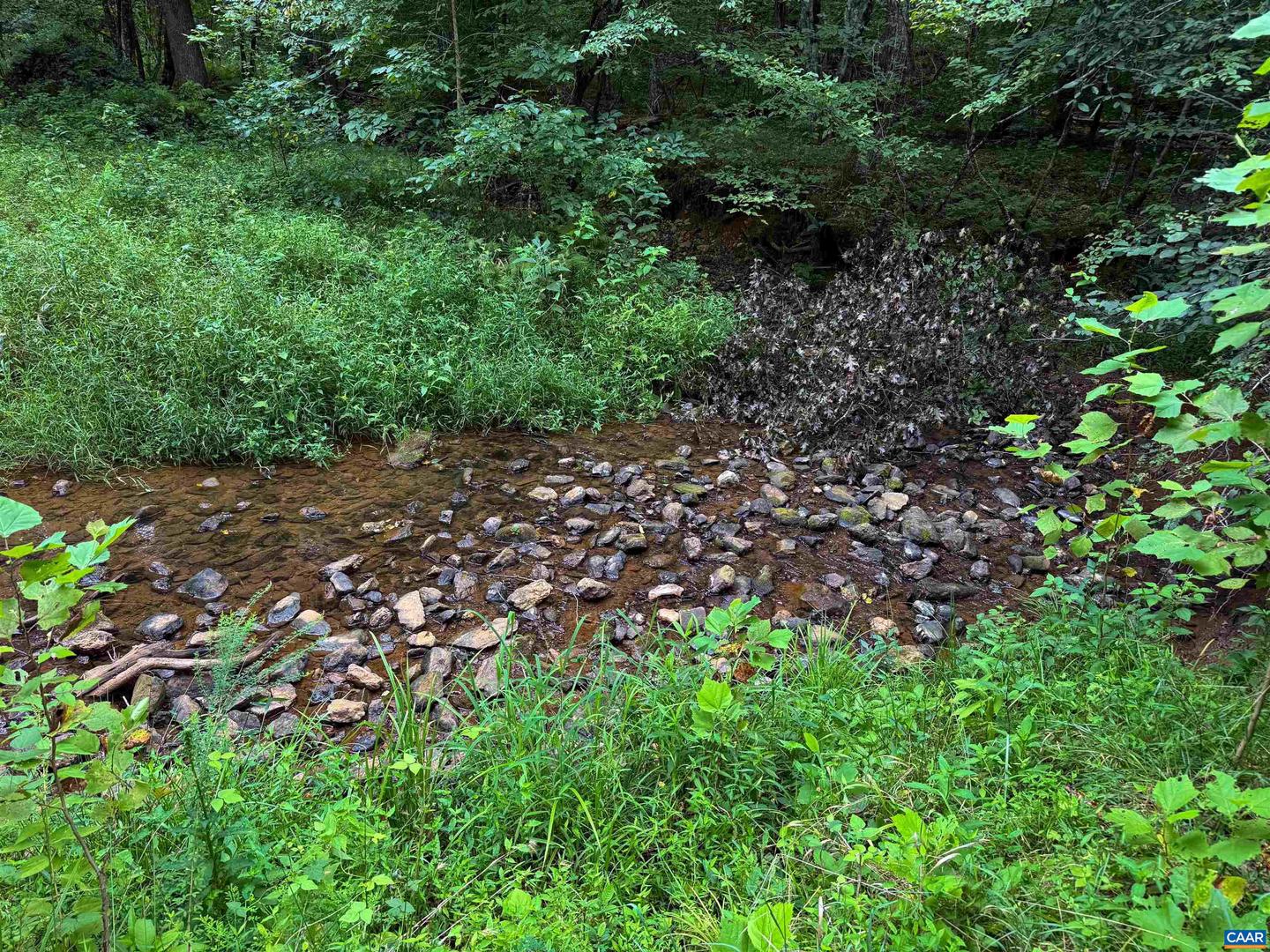TBA OLD GREEN MOUNTAIN RD #00500, ESMONT, Virginia 22937, ,Farm,For sale,TBA OLD GREEN MOUNTAIN RD #00500,668925 MLS # 668925