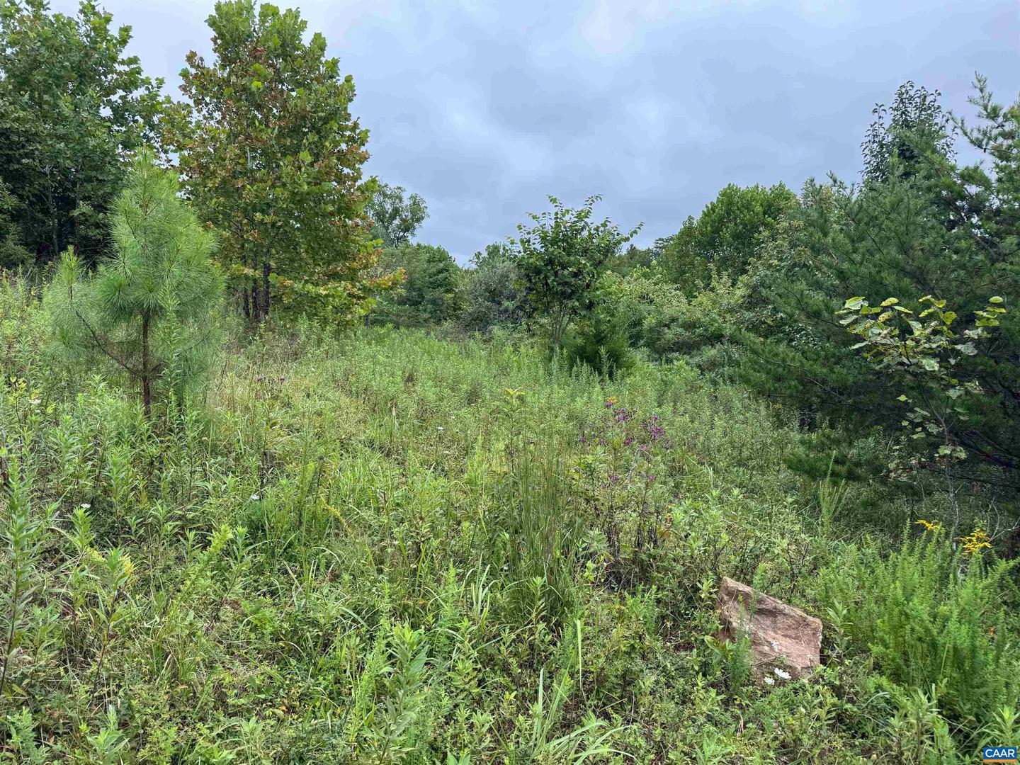 TBA OLD GREEN MOUNTAIN RD #00500, ESMONT, Virginia 22937, ,Farm,For sale,TBA OLD GREEN MOUNTAIN RD #00500,668925 MLS # 668925