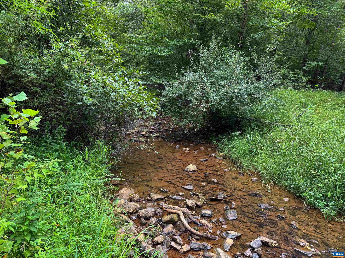 TBA OLD GREEN MOUNTAIN RD #00500, ESMONT, Virginia 22937, ,Farm,For sale,TBA OLD GREEN MOUNTAIN RD #00500,668925 MLS # 668925