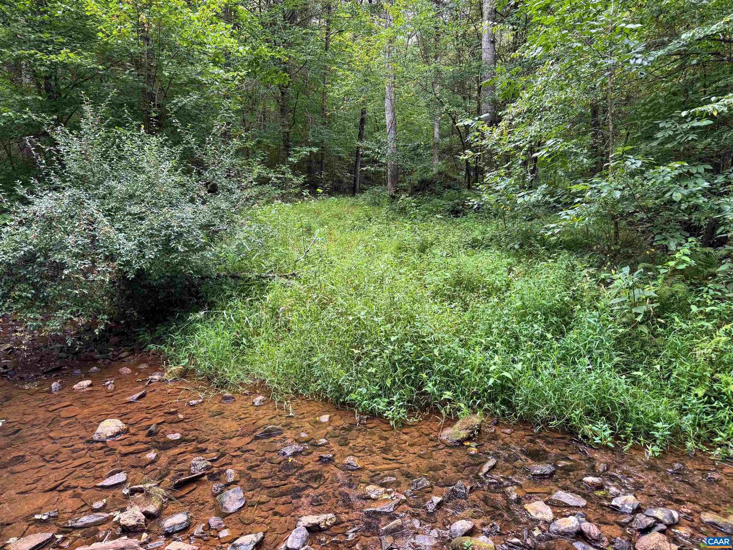 TBA OLD GREEN MOUNTAIN RD #00500, ESMONT, Virginia 22937, ,Farm,For sale,TBA OLD GREEN MOUNTAIN RD #00500,668925 MLS # 668925