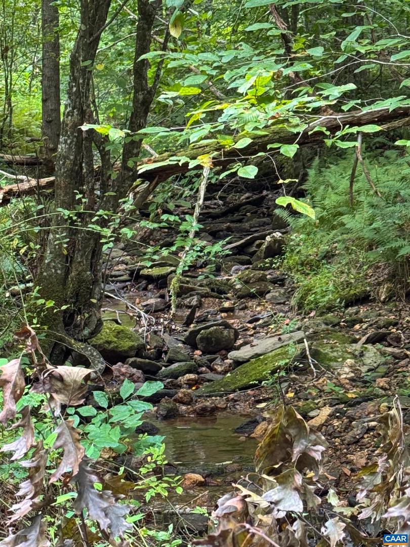 TBA OLD GREEN MOUNTAIN RD #00500, ESMONT, Virginia 22937, ,Farm,For sale,TBA OLD GREEN MOUNTAIN RD #00500,668925 MLS # 668925