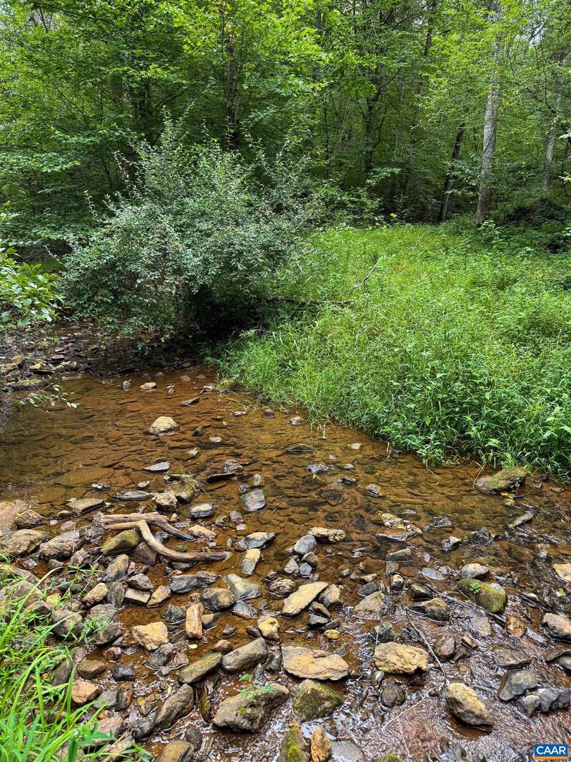 TBA OLD GREEN MOUNTAIN RD #00500, ESMONT, Virginia 22937, ,Farm,For sale,TBA OLD GREEN MOUNTAIN RD #00500,668925 MLS # 668925