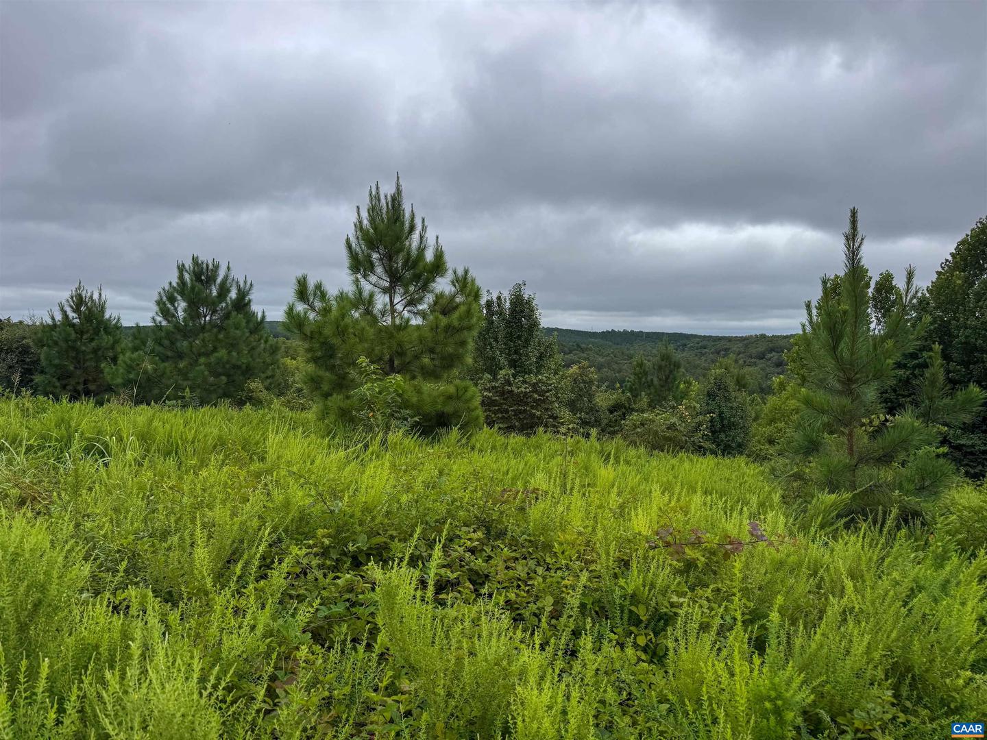 TBA OLD GREEN MOUNTAIN RD #00500, ESMONT, Virginia 22937, ,Farm,For sale,TBA OLD GREEN MOUNTAIN RD #00500,668925 MLS # 668925