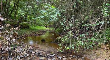 TBA OLD GREEN MOUNTAIN RD #00500, ESMONT, Virginia 22937, ,Farm,For sale,TBA OLD GREEN MOUNTAIN RD #00500,668925 MLS # 668925