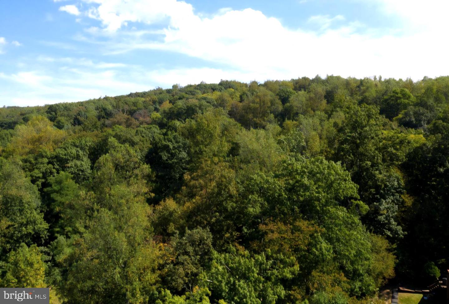 0 PARKSIDE, LINDEN, Virginia 22642, ,Land,For sale,0 PARKSIDE,VAWR2012298 MLS # VAWR2012298