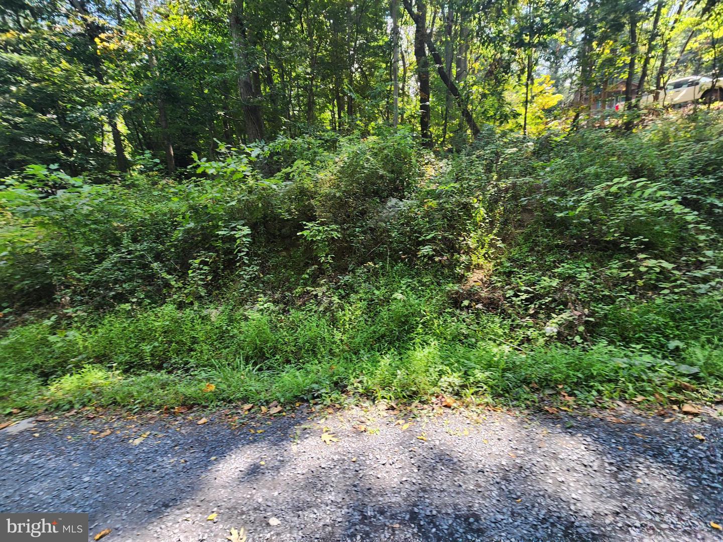 0 PARKSIDE, LINDEN, Virginia 22642, ,Land,For sale,0 PARKSIDE,VAWR2012298 MLS # VAWR2012298