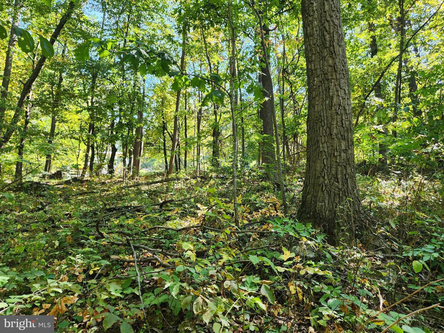 0 PARKSIDE, LINDEN, Virginia 22642, ,Land,For sale,0 PARKSIDE,VAWR2012298 MLS # VAWR2012298