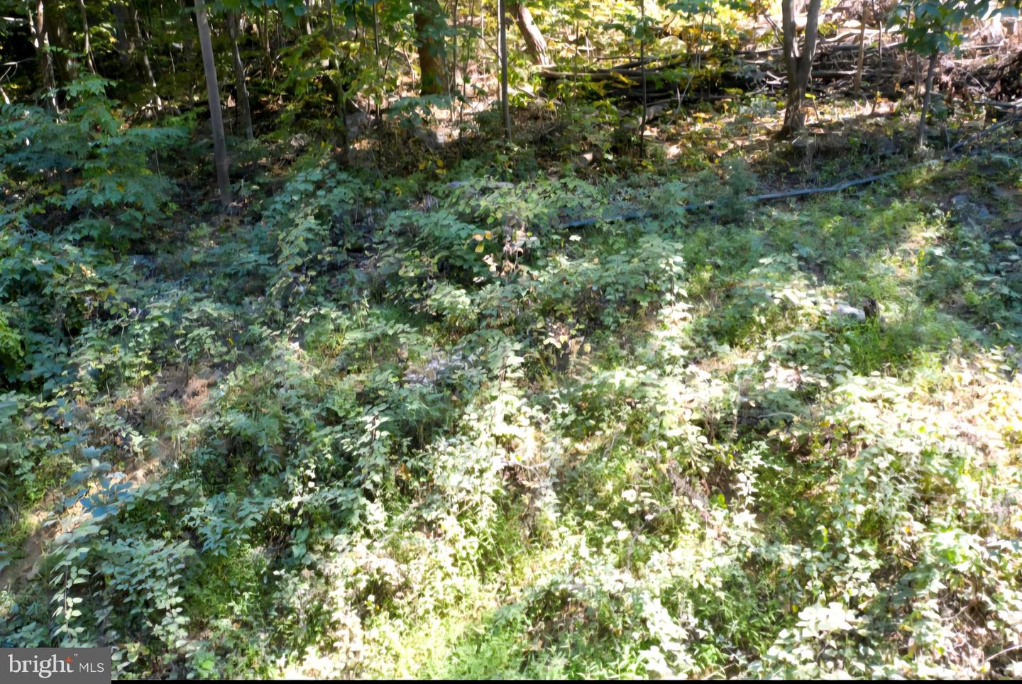 0 PARKSIDE, LINDEN, Virginia 22642, ,Land,For sale,0 PARKSIDE,VAWR2012298 MLS # VAWR2012298