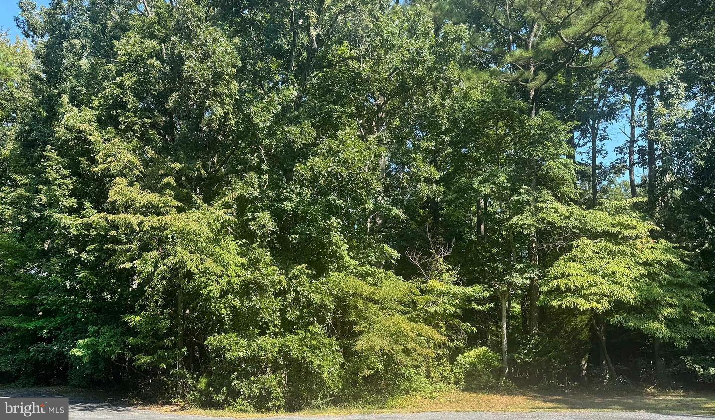 LOT 1980 SHIPS, GREENBACKVILLE, Virginia 23356, ,Land,For sale,LOT 1980 SHIPS,VAAC2002248 MLS # VAAC2002248
