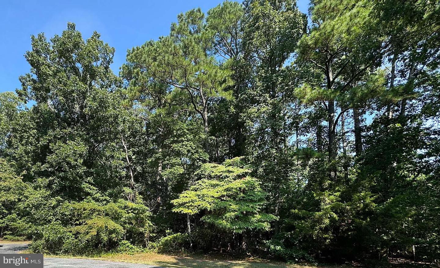 LOT 1980 SHIPS, GREENBACKVILLE, Virginia 23356, ,Land,For sale,LOT 1980 SHIPS,VAAC2002248 MLS # VAAC2002248