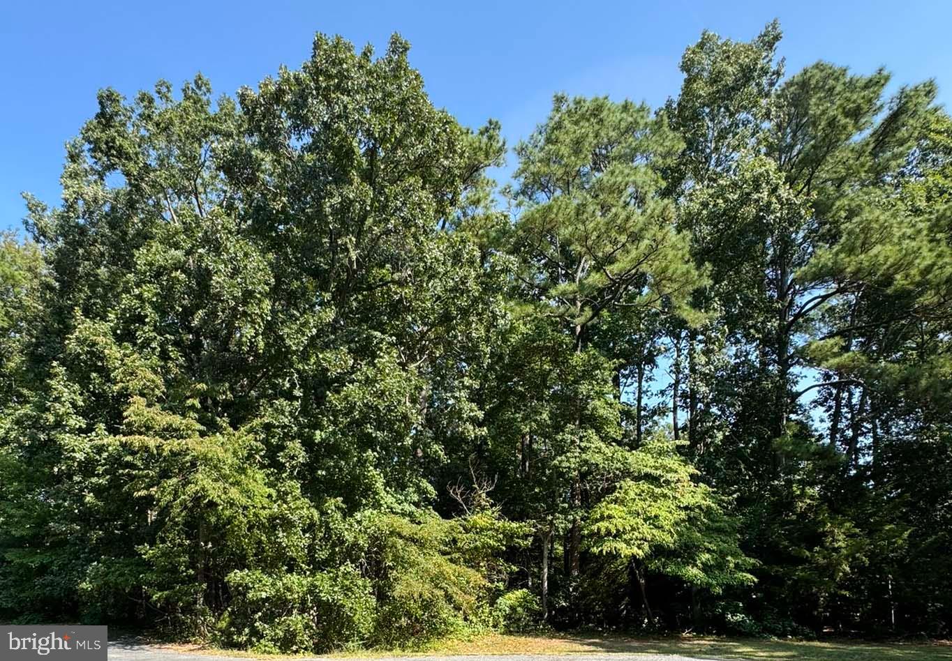 LOT 1980 SHIPS, GREENBACKVILLE, Virginia 23356, ,Land,For sale,LOT 1980 SHIPS,VAAC2002248 MLS # VAAC2002248
