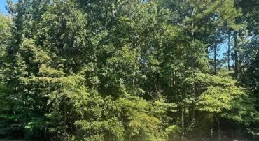 LOT 1980 SHIPS, GREENBACKVILLE, Virginia 23356, ,Land,For sale,LOT 1980 SHIPS,VAAC2002248 MLS # VAAC2002248