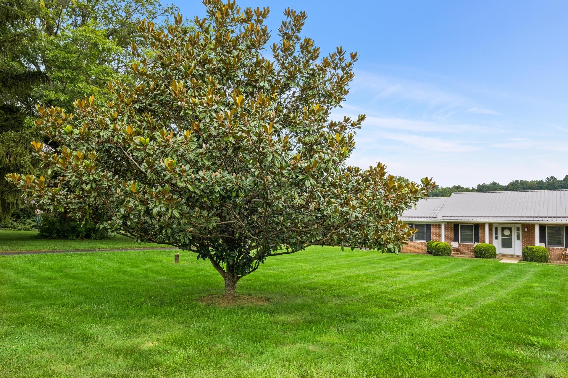3255 CHURCHVILLE AVE, STAUNTON, Virginia 24401, 3 Bedrooms Bedrooms, ,2 BathroomsBathrooms,Residential,3255 CHURCHVILLE AVE,668941 MLS # 668941