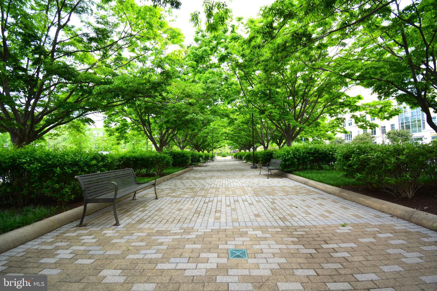 11770 SUNRISE VALLEY DR #120, RESTON, Virginia 20191, 2 Bedrooms Bedrooms, ,2 BathroomsBathrooms,Residential,For sale,11770 SUNRISE VALLEY DR #120,VAFX2267068 MLS # VAFX2267068