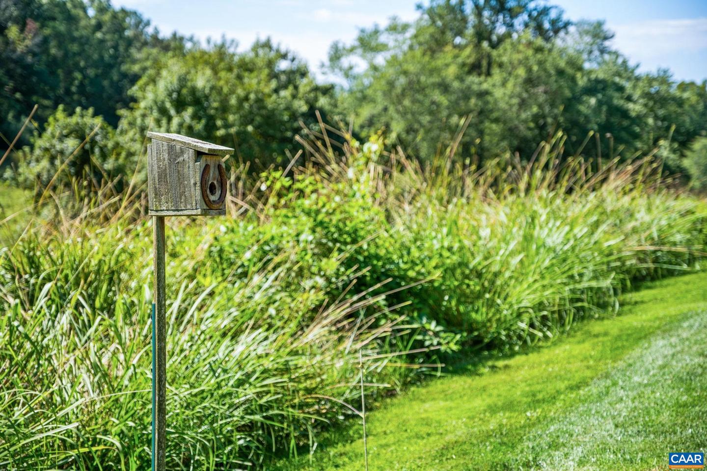 105 SQUIRREL PATH, STANARDSVILLE, Virginia 22973, 5 Bedrooms Bedrooms, ,4 BathroomsBathrooms,Residential,For sale,105 SQUIRREL PATH,668648 MLS # 668648 105 SQUIRREL PATH, STANARDSVILLE, Virginia 22973, 5 Bedrooms Bedrooms, ,4 BathroomsBathrooms,Residential,For sale,105 SQUIRREL PATH,668648 MLS # 668648