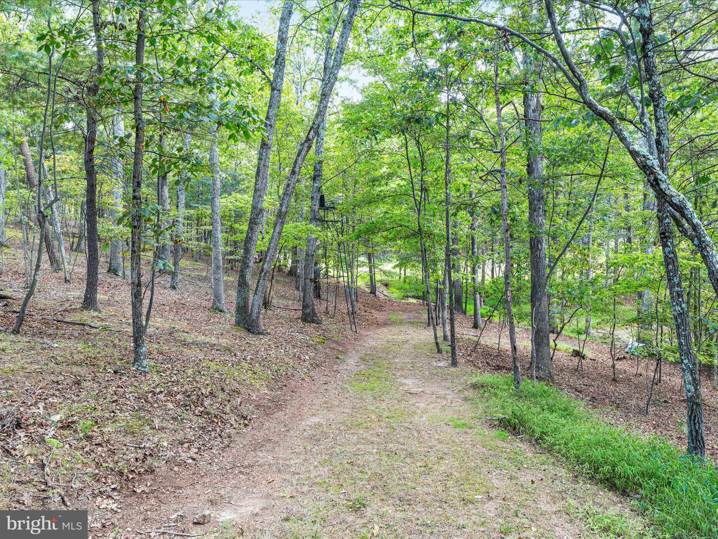 2411 HUNTING RIDGE RD, WINCHESTER, Virginia 22603, 4 Bedrooms Bedrooms, ,3 BathroomsBathrooms,Residential,For sale,2411 HUNTING RIDGE RD,VAFV2036716 MLS # VAFV2036716