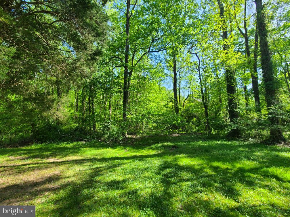 HONEYSUCKLE TRL, LORTON, Virginia 22079, ,Land,For sale,HONEYSUCKLE TRL,VAFX2136842 MLS # VAFX2136842 HONEYSUCKLE TRL, LORTON, Virginia 22079, ,Land,For sale,HONEYSUCKLE TRL,VAFX2136842 MLS # VAFX2136842