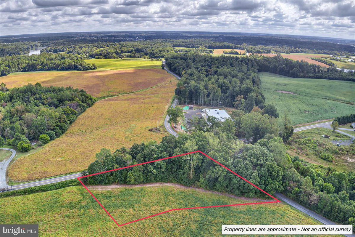 LOT 2A & 4 ZACHARY TAYLOR HWY, MONROVIA RD, ORANGE, Virginia 22960, ,Land,For sale,LOT 2A & 4 ZACHARY TAYLOR HWY, MONROVIA RD,VASP2036230 MLS # VASP2036230