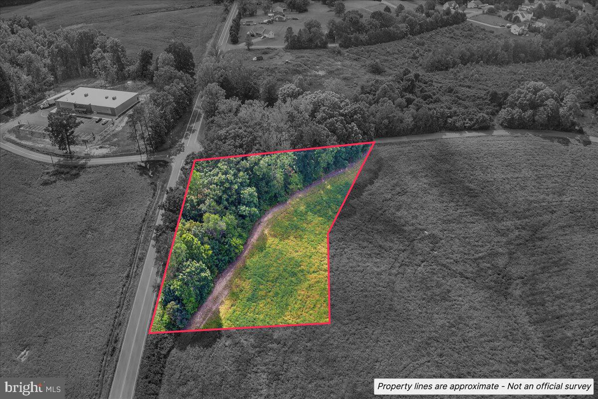 LOT 2A & 4 ZACHARY TAYLOR HWY, MONROVIA RD, ORANGE, Virginia 22960, ,Land,For sale,LOT 2A & 4 ZACHARY TAYLOR HWY, MONROVIA RD,VASP2036230 MLS # VASP2036230