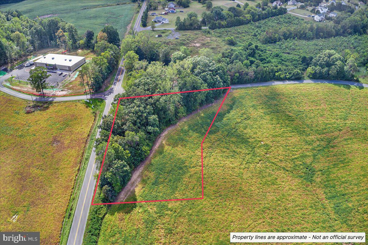 LOT 2A & 4 ZACHARY TAYLOR HWY, MONROVIA RD, ORANGE, Virginia 22960, ,Land,For sale,LOT 2A & 4 ZACHARY TAYLOR HWY, MONROVIA RD,VASP2036230 MLS # VASP2036230