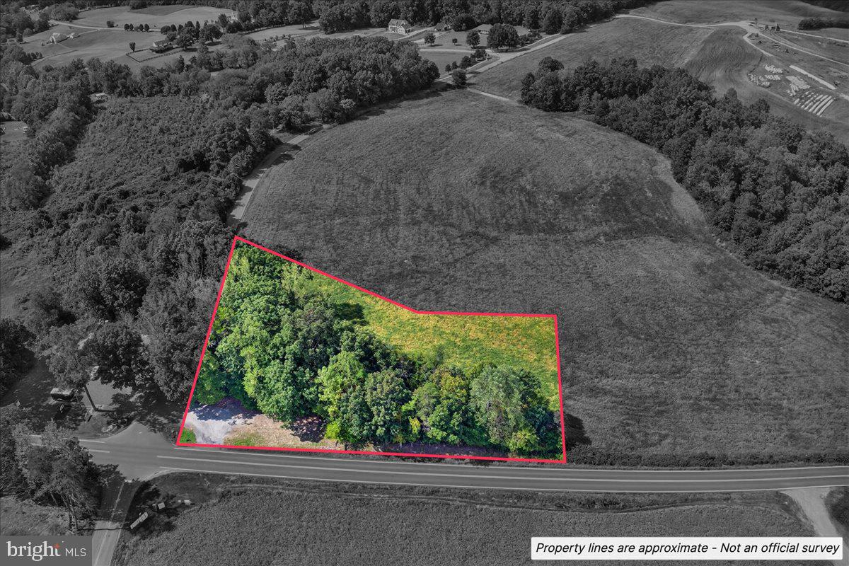 LOT 2A & 4 ZACHARY TAYLOR HWY, MONROVIA RD, ORANGE, Virginia 22960, ,Land,For sale,LOT 2A & 4 ZACHARY TAYLOR HWY, MONROVIA RD,VASP2036230 MLS # VASP2036230