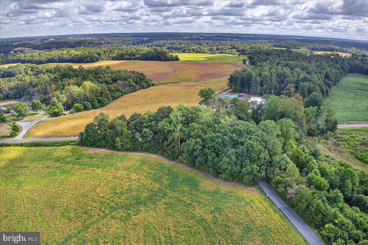 LOT 2A & 4 ZACHARY TAYLOR HWY, MONROVIA RD, ORANGE, Virginia 22960, ,Land,For sale,LOT 2A & 4 ZACHARY TAYLOR HWY, MONROVIA RD,VASP2036230 MLS # VASP2036230