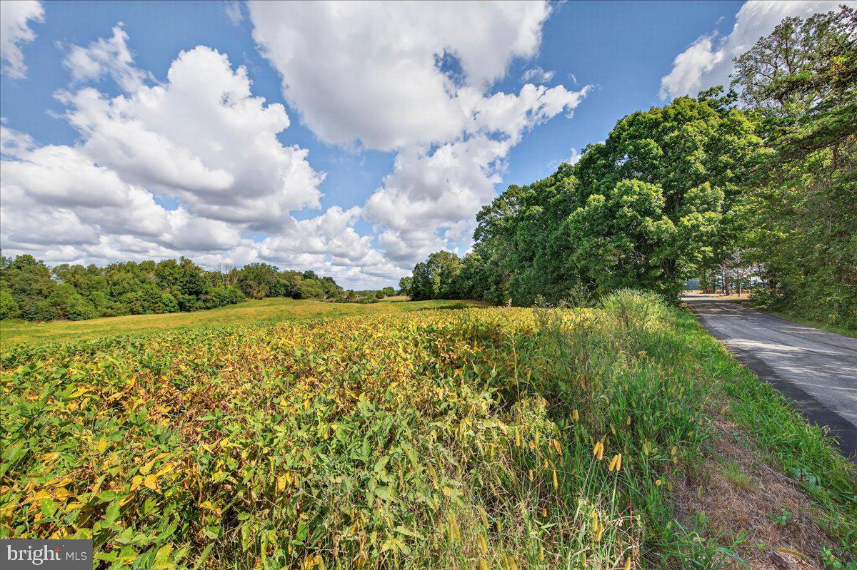 LOT 2A & 4 ZACHARY TAYLOR HWY, MONROVIA RD, ORANGE, Virginia 22960, ,Land,For sale,LOT 2A & 4 ZACHARY TAYLOR HWY, MONROVIA RD,VASP2036230 MLS # VASP2036230