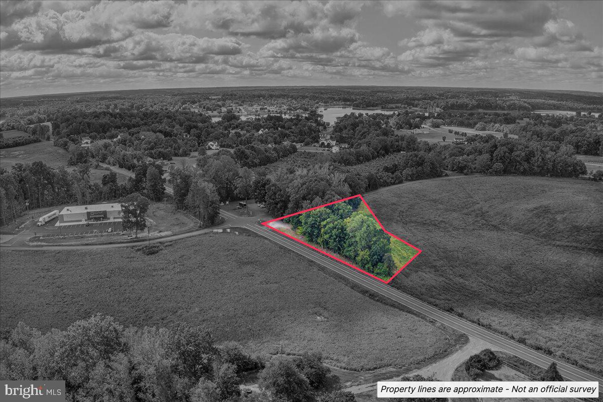 LOT 2A & 4 ZACHARY TAYLOR HWY, MONROVIA RD, ORANGE, Virginia 22960, ,Land,For sale,LOT 2A & 4 ZACHARY TAYLOR HWY, MONROVIA RD,VASP2036230 MLS # VASP2036230