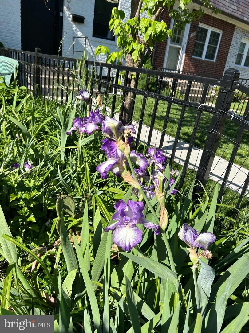 304 E NELSON AVE, ALEXANDRIA, Virginia 22301, 2 Bedrooms Bedrooms, ,2 BathroomsBathrooms,Residential,For sale,304 E NELSON AVE,VAAX2048666 MLS # VAAX2048666