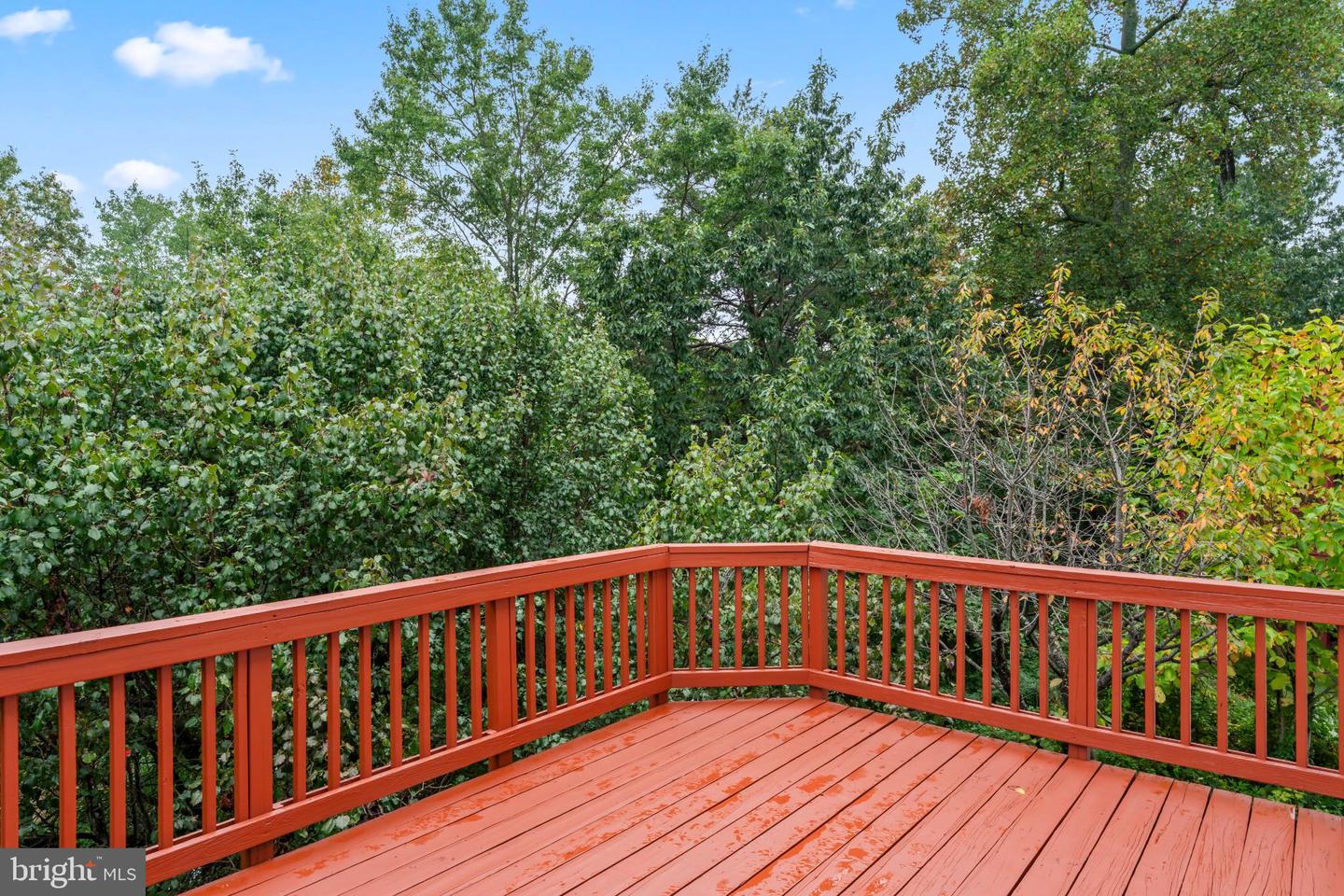 6207 WOODLAND LAKE DR, ALEXANDRIA, Virginia 22310, 6 Bedrooms Bedrooms, 19 Rooms Rooms,4 BathroomsBathrooms,Residential,For sale,6207 WOODLAND LAKE DR,VAFX2261824 MLS # VAFX2261824