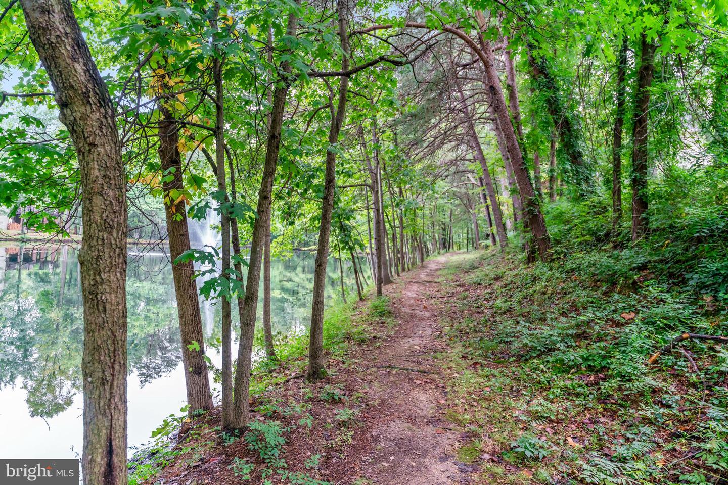 6207 WOODLAND LAKE DR, ALEXANDRIA, Virginia 22310, 6 Bedrooms Bedrooms, 19 Rooms Rooms,4 BathroomsBathrooms,Residential,For sale,6207 WOODLAND LAKE DR,VAFX2261824 MLS # VAFX2261824