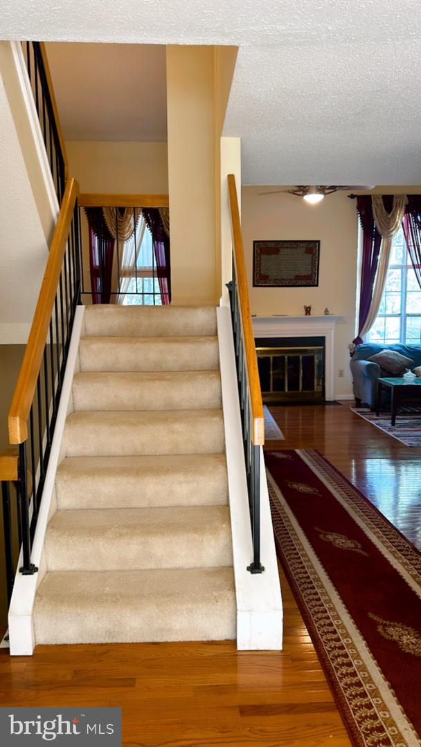 12287 WYE OAK COMMONS CIR, BURKE, Virginia 22015, 3 Bedrooms Bedrooms, ,3 BathroomsBathrooms,Residential,For sale,12287 WYE OAK COMMONS CIR,VAFX2263696 MLS # VAFX2263696