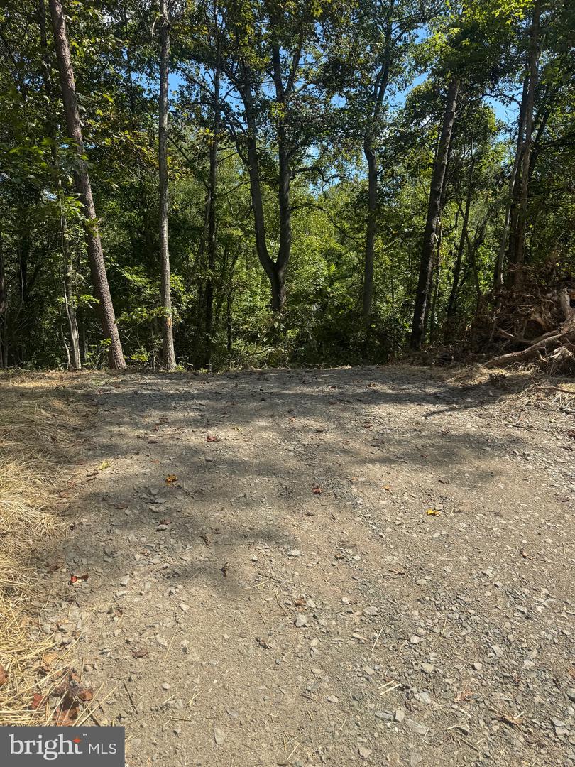 VACANT LAND CABIN BRANCH ROAD, MARSHALL, Virginia 20115, ,Land,For sale,VACANT LAND CABIN BRANCH ROAD,VAFQ2018238 MLS # VAFQ2018238