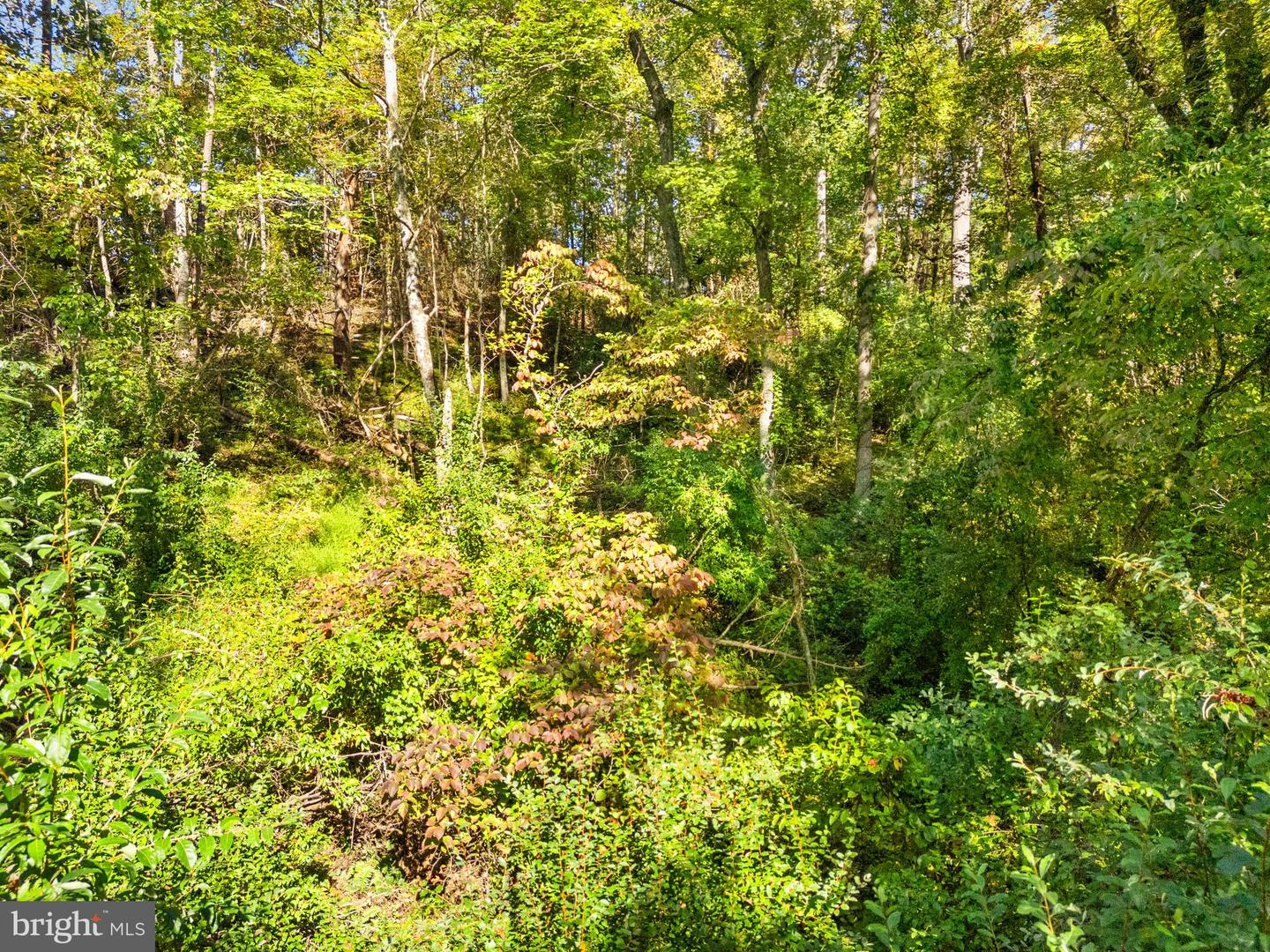 VACANT LAND CABIN BRANCH ROAD, MARSHALL, Virginia 20115, ,Land,For sale,VACANT LAND CABIN BRANCH ROAD,VAFQ2018238 MLS # VAFQ2018238