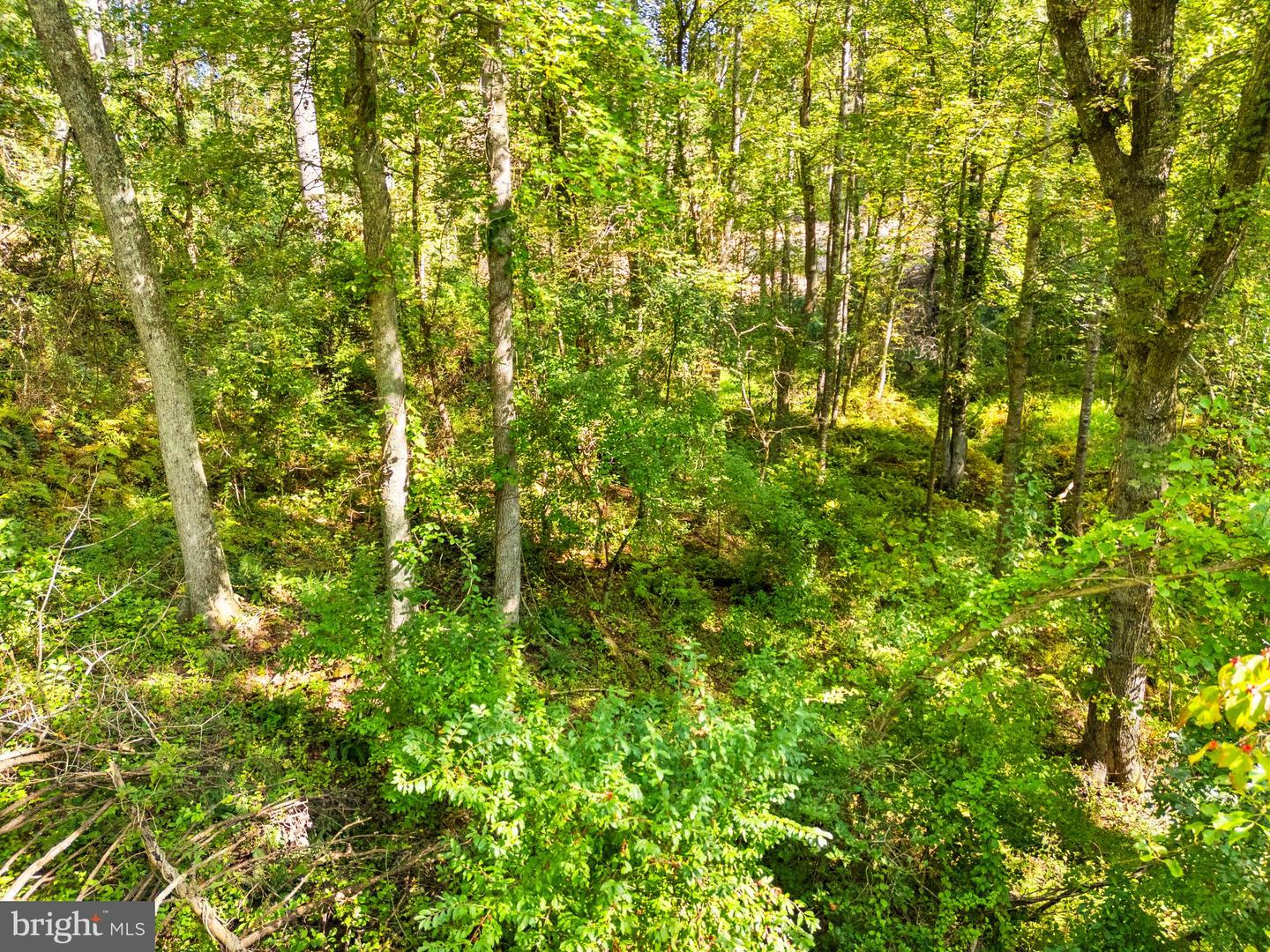 VACANT LAND CABIN BRANCH ROAD, MARSHALL, Virginia 20115, ,Land,For sale,VACANT LAND CABIN BRANCH ROAD,VAFQ2018238 MLS # VAFQ2018238
