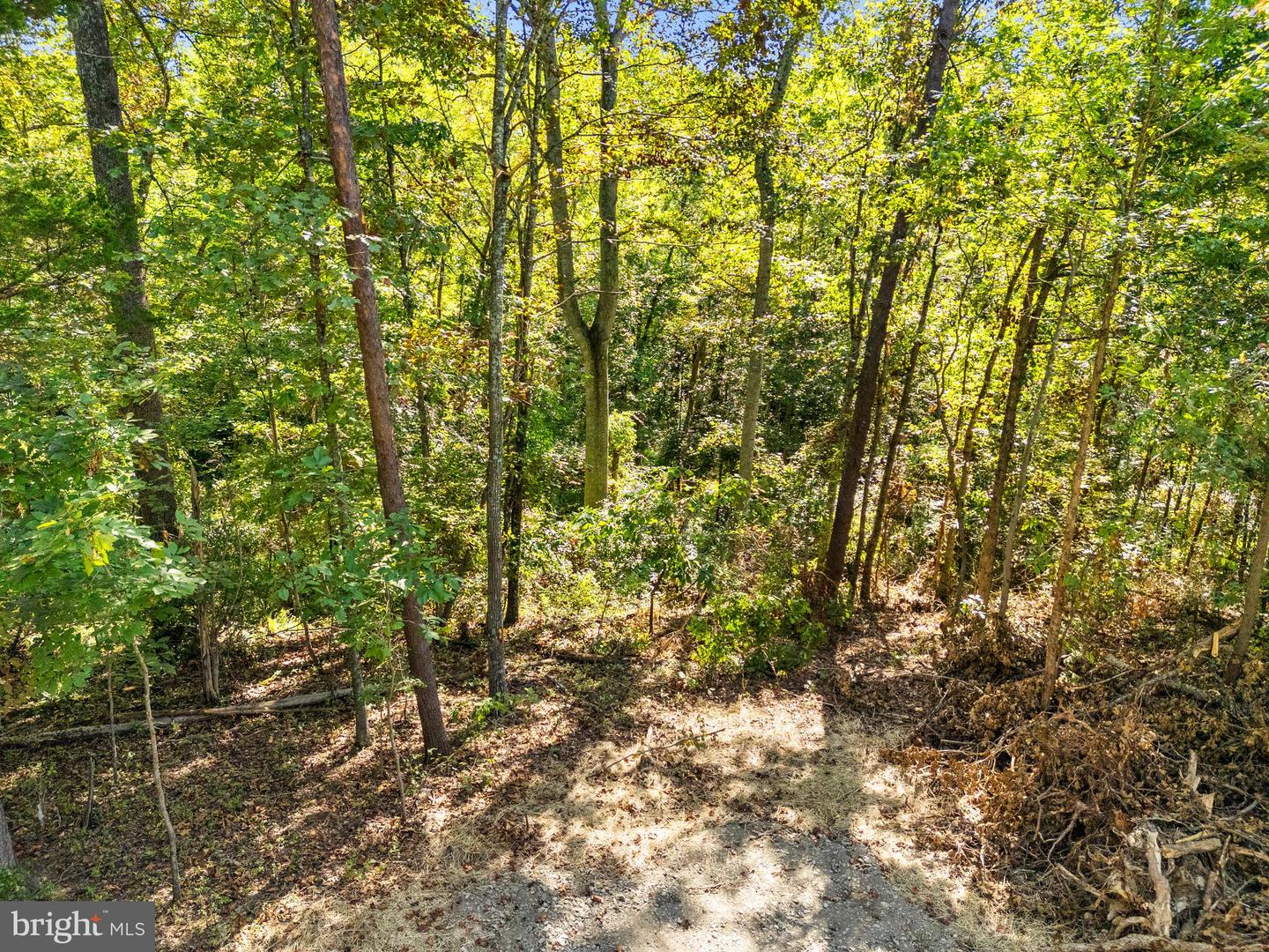 VACANT LAND CABIN BRANCH ROAD, MARSHALL, Virginia 20115, ,Land,For sale,VACANT LAND CABIN BRANCH ROAD,VAFQ2018238 MLS # VAFQ2018238