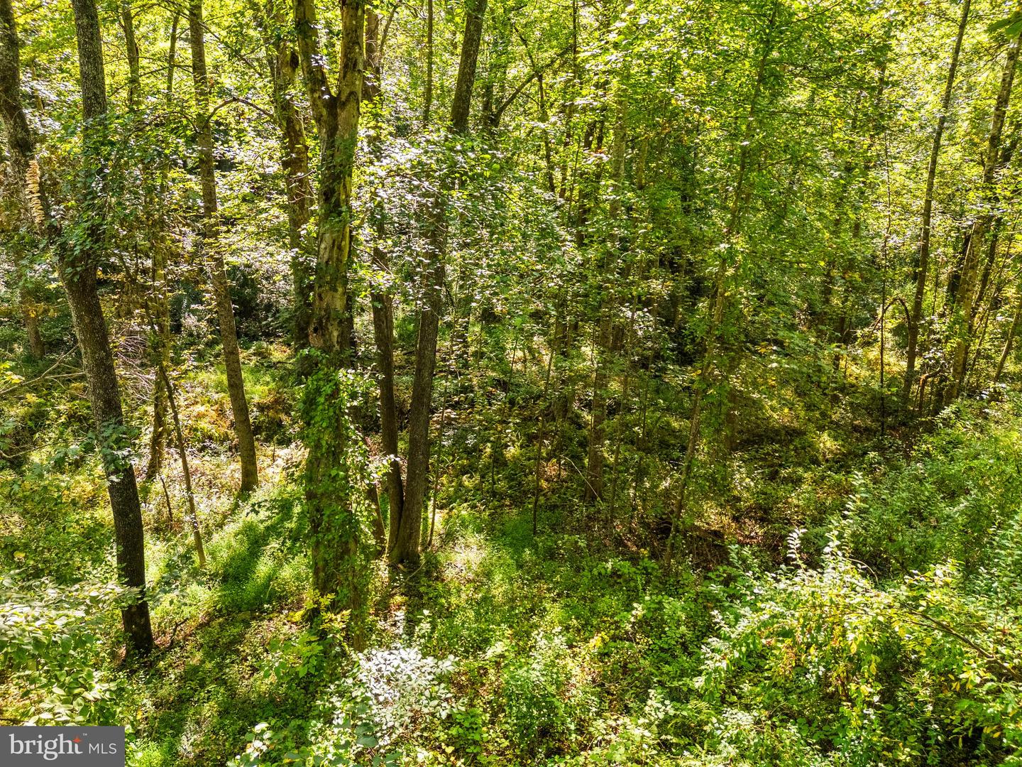 VACANT LAND CABIN BRANCH ROAD, MARSHALL, Virginia 20115, ,Land,For sale,VACANT LAND CABIN BRANCH ROAD,VAFQ2018238 MLS # VAFQ2018238