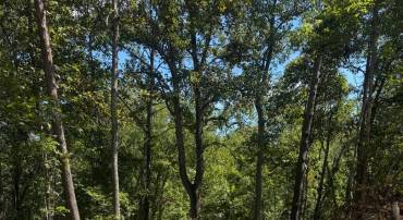 VACANT LAND CABIN BRANCH ROAD, MARSHALL, Virginia 20115, ,Land,For sale,VACANT LAND CABIN BRANCH ROAD,VAFQ2018238 MLS # VAFQ2018238