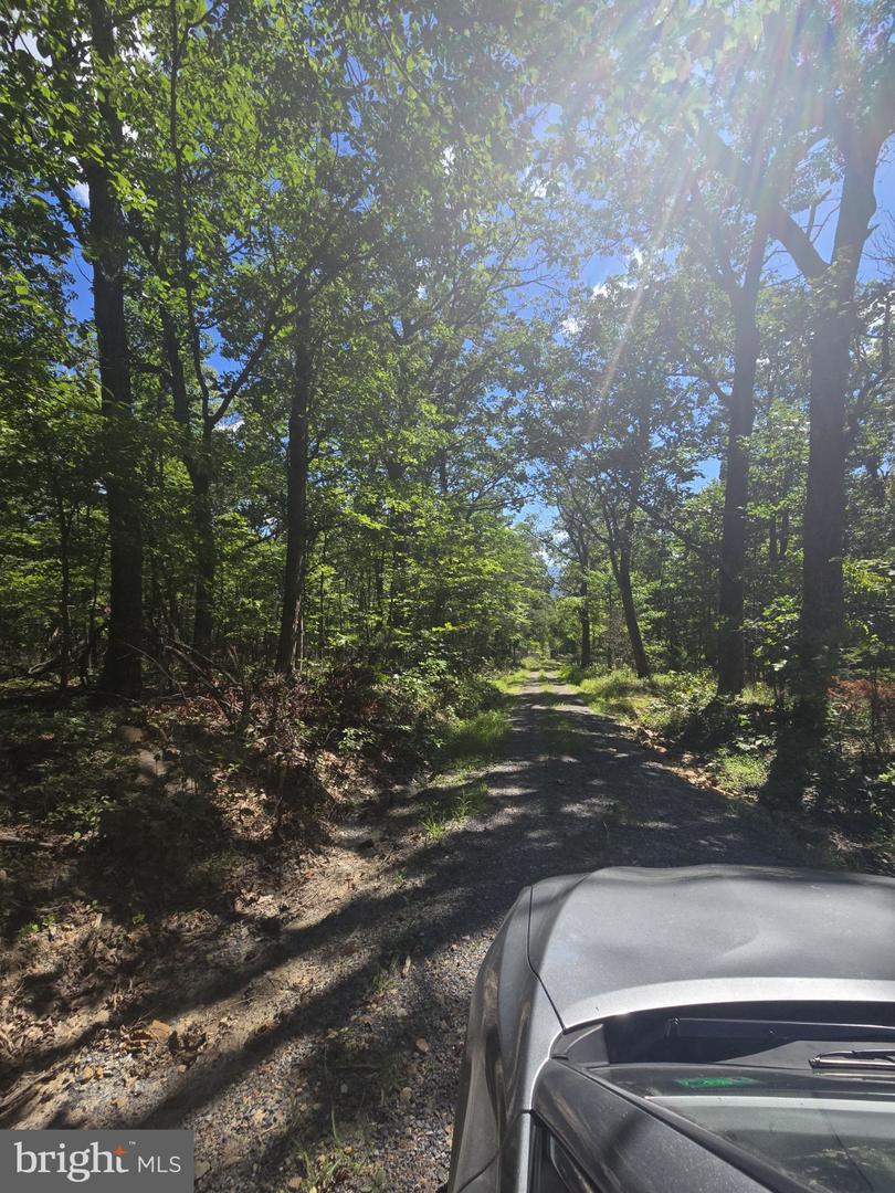 0 WHITE OAK RD, LURAY, Virginia 22835, ,Land,For sale,0 WHITE OAK RD,VAPA2005362 MLS # VAPA2005362