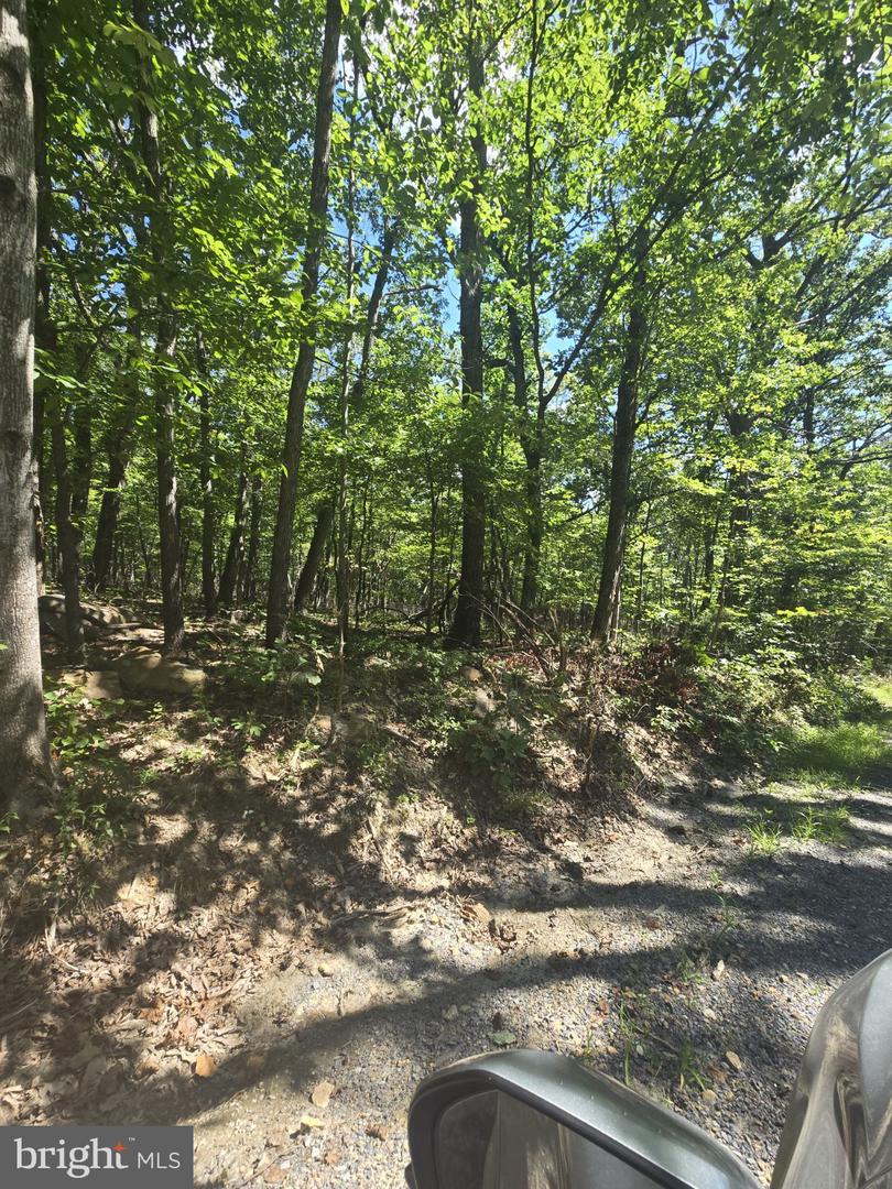 0 WHITE OAK RD, LURAY, Virginia 22835, ,Land,For sale,0 WHITE OAK RD,VAPA2005362 MLS # VAPA2005362