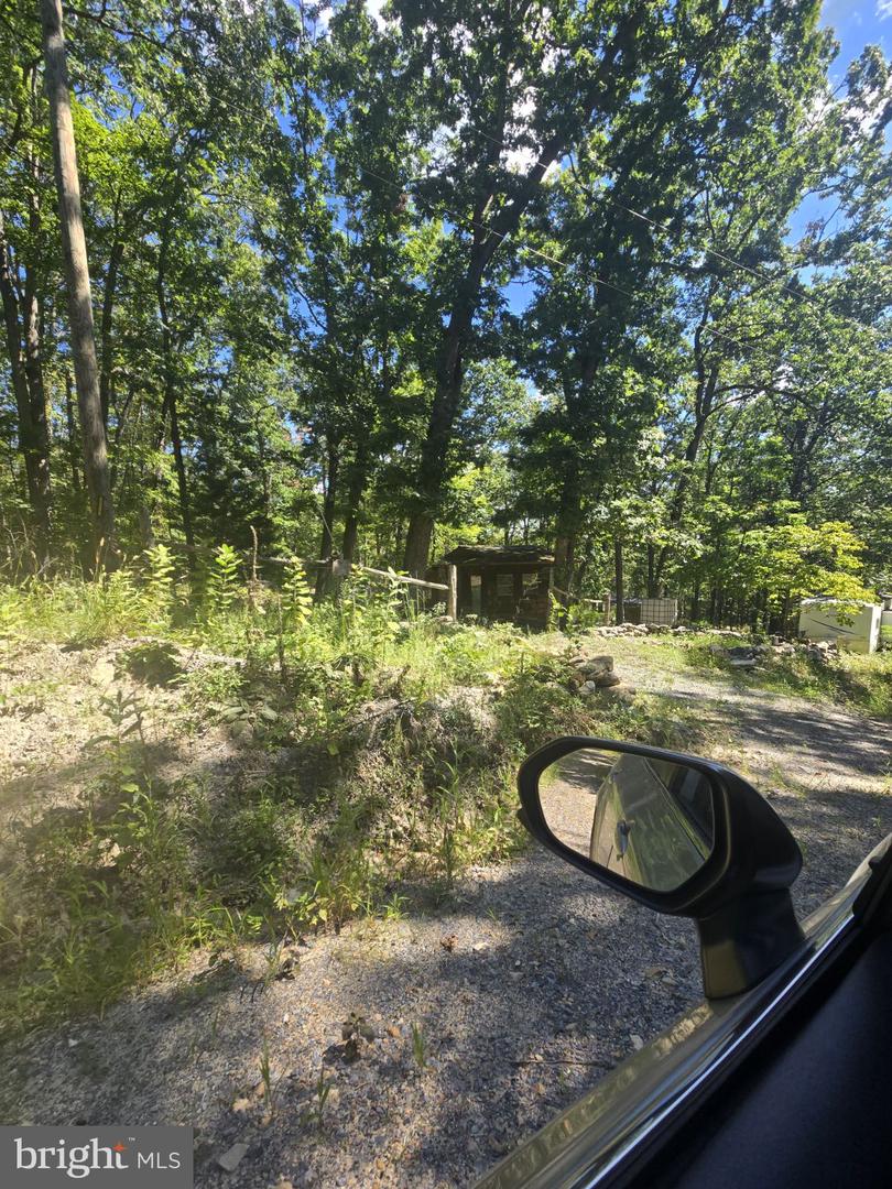 0 WHITE OAK RD, LURAY, Virginia 22835, ,Land,For sale,0 WHITE OAK RD,VAPA2005362 MLS # VAPA2005362