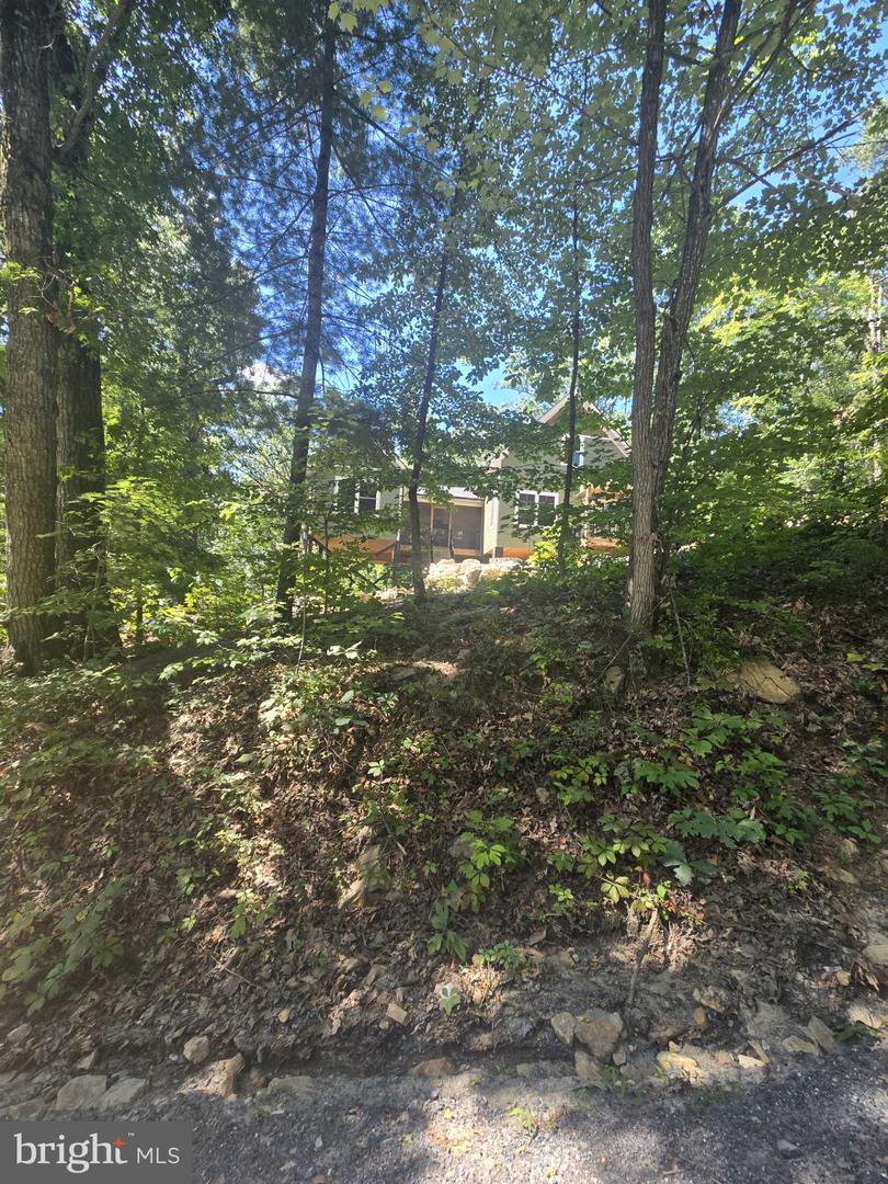0 WHITE OAK RD, LURAY, Virginia 22835, ,Land,For sale,0 WHITE OAK RD,VAPA2005362 MLS # VAPA2005362