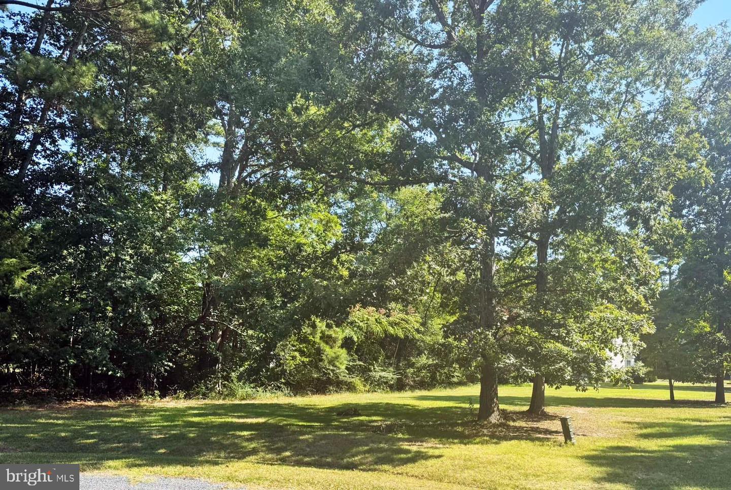 LOT 1981 SHIPS CT, GREENBACKVILLE, Virginia 23356, ,Land,For sale,LOT 1981 SHIPS CT,VAAC2002250 MLS # VAAC2002250