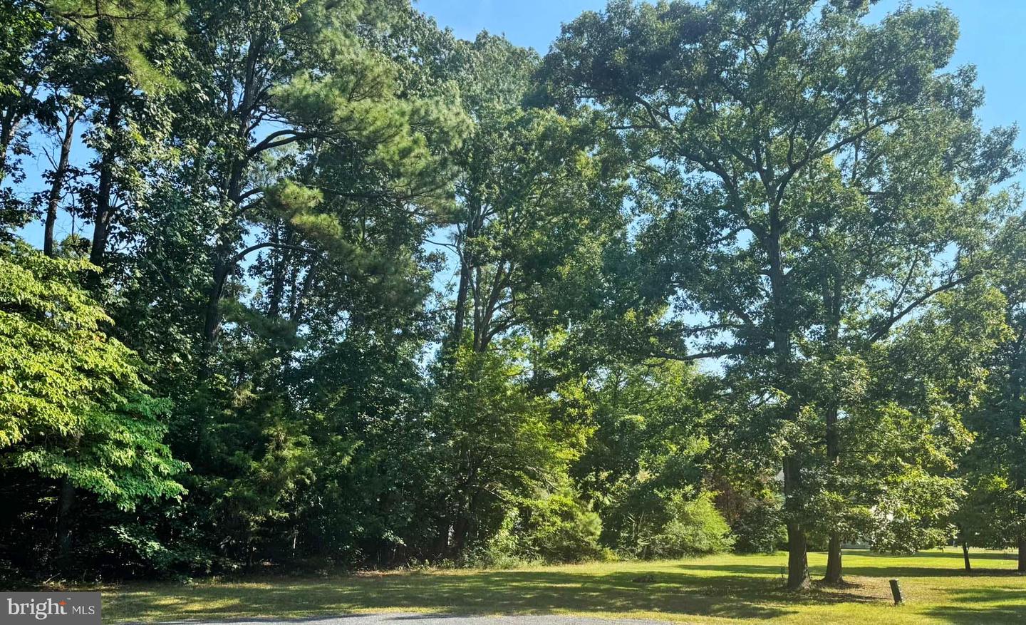 LOT 1981 SHIPS CT, GREENBACKVILLE, Virginia 23356, ,Land,For sale,LOT 1981 SHIPS CT,VAAC2002250 MLS # VAAC2002250